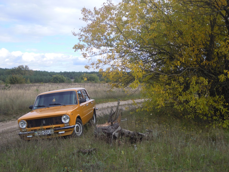 Осінь на мандаринці 4