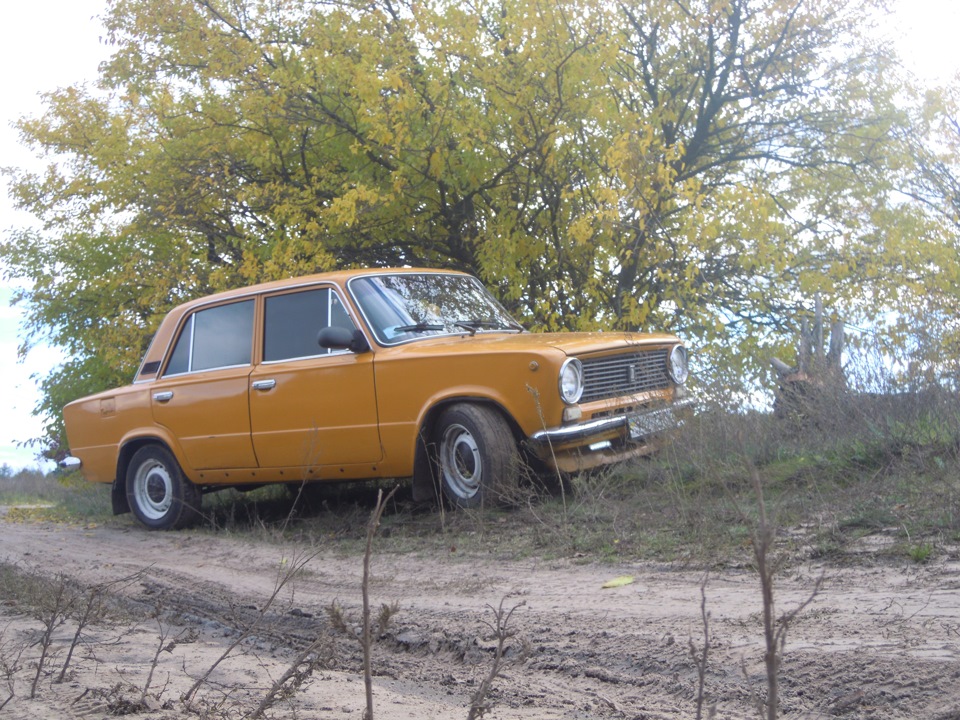 Осінь на мандаринці 2
