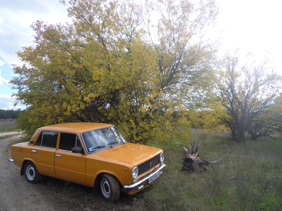 Осінь на мандаринці 1