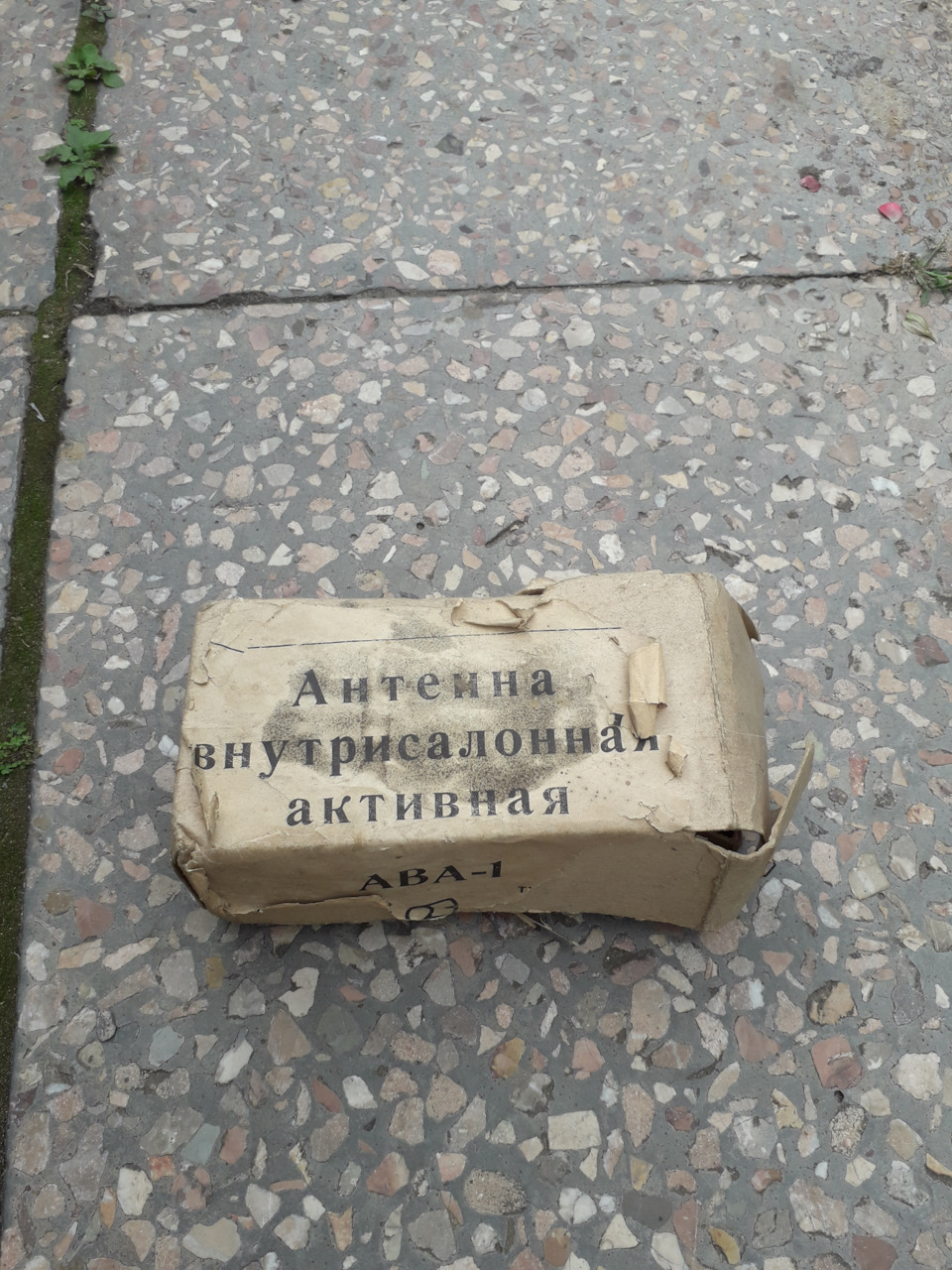 Ава-1, але не собака Айболіта 1