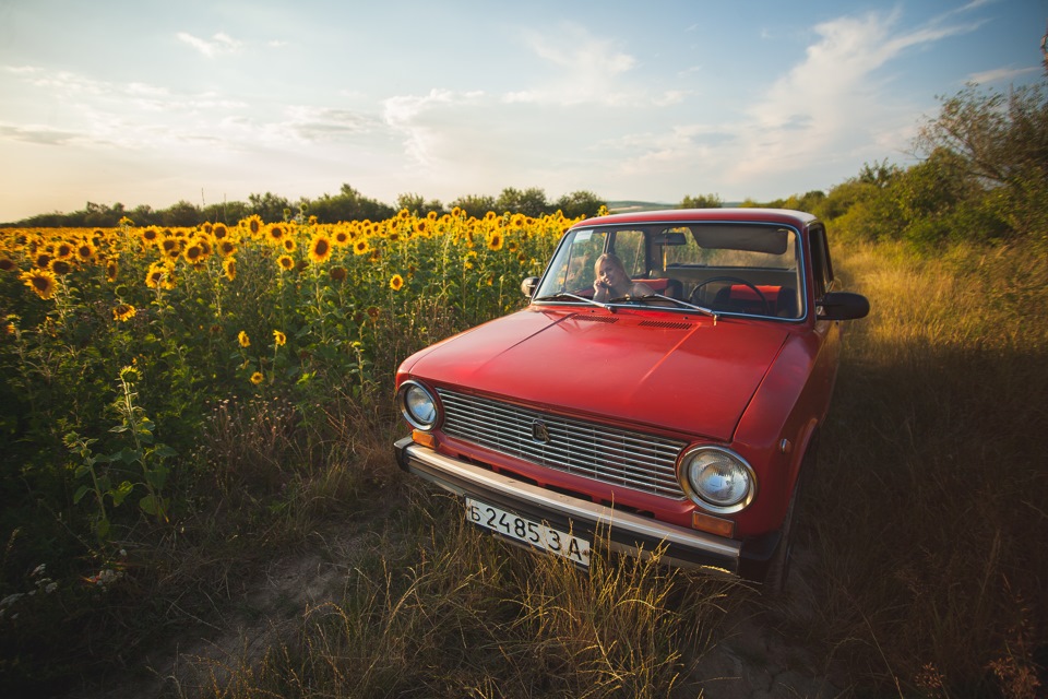 Sunflowers 2