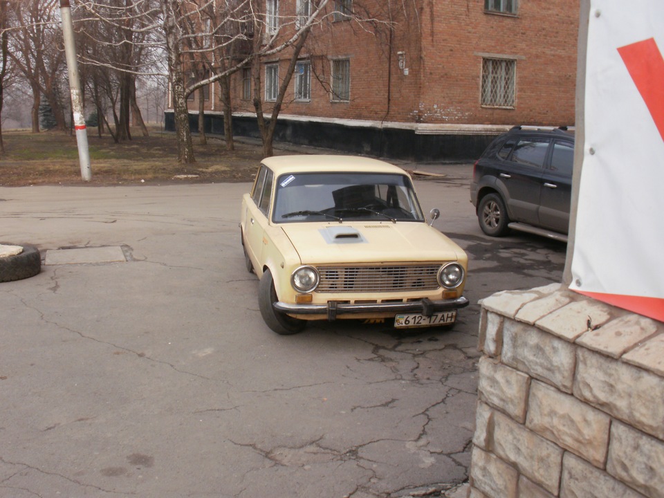 кастор! 5