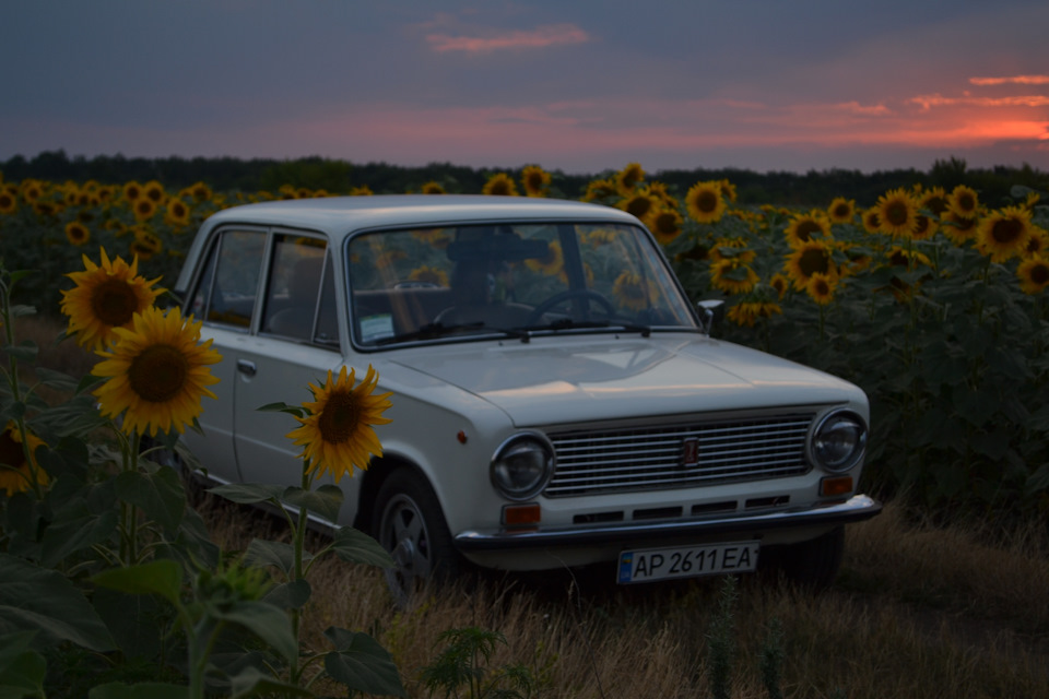 Небольшой фотосет 5