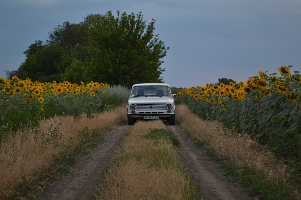 Небольшой фотосет 4