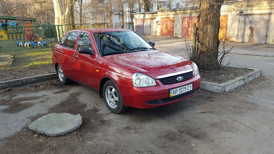 Покупка Жоповоза