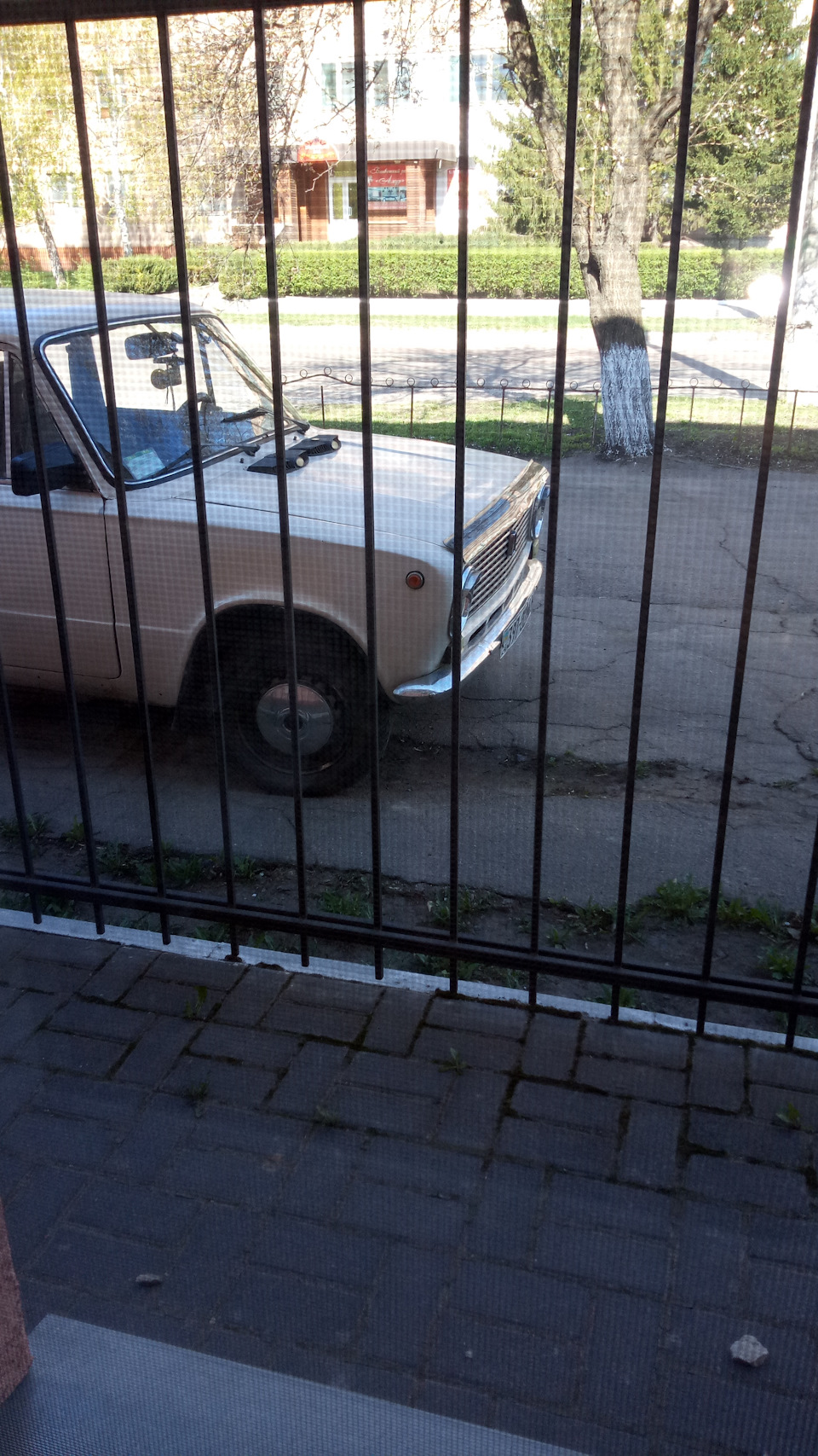 Ковпаки, від чого вони? Допоможіть розібратися)) 3