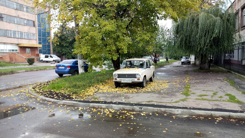 Осінь настала, холодно стало)) 2