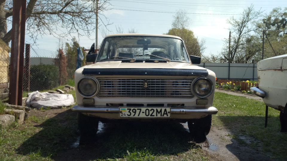 У нас сьогодні банний день)) 1