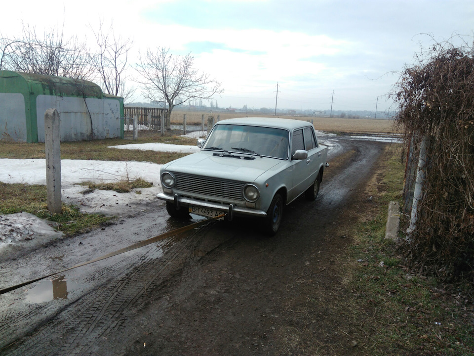 Розкрили мою ластівку. 1