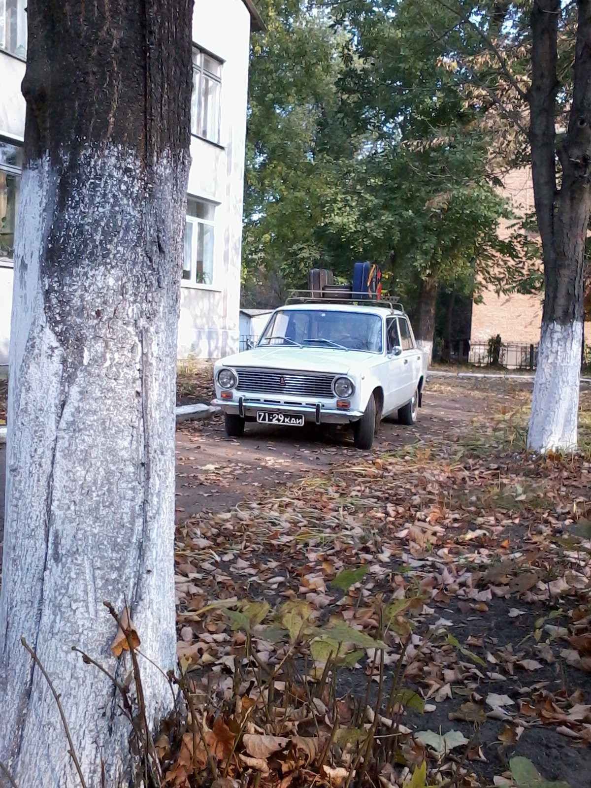 Золота осінь 5