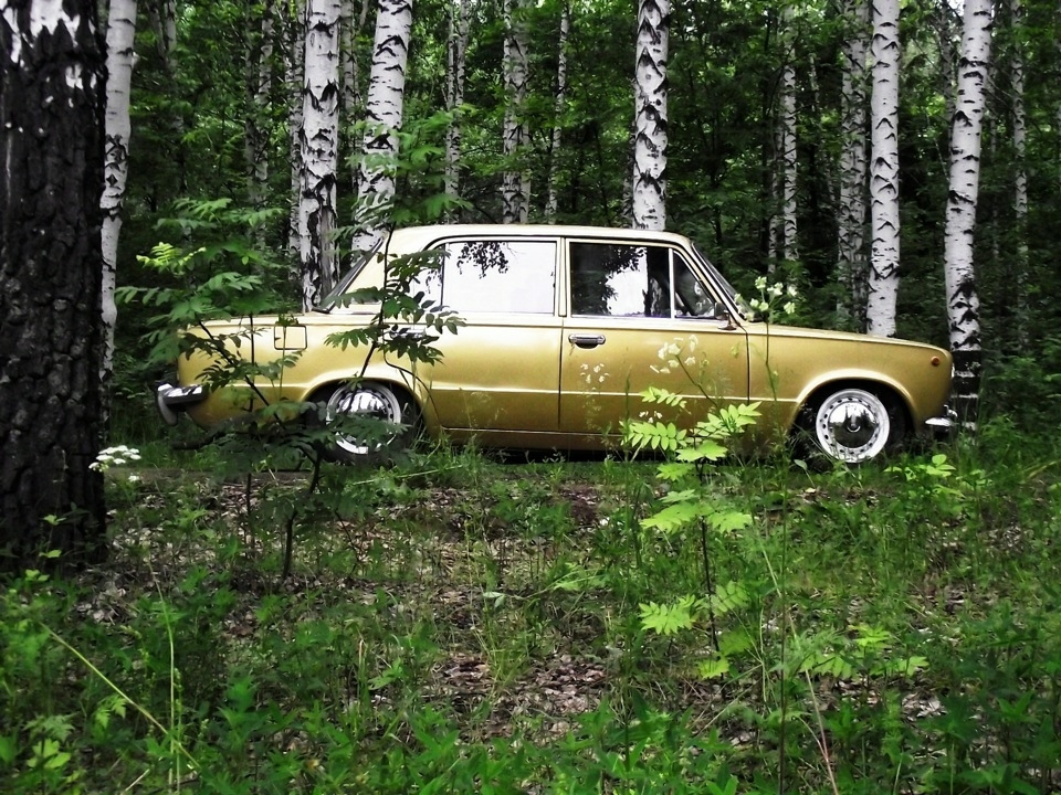 Думки по фарбуванню 1