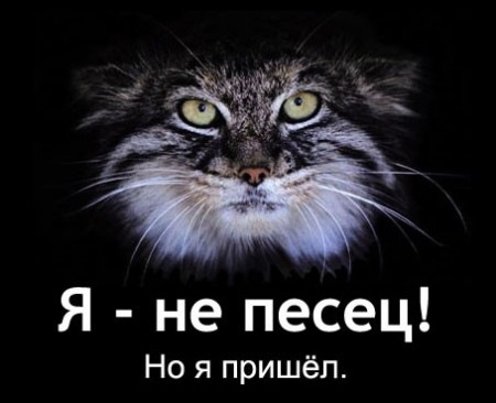 АКБ  R.I.P 1