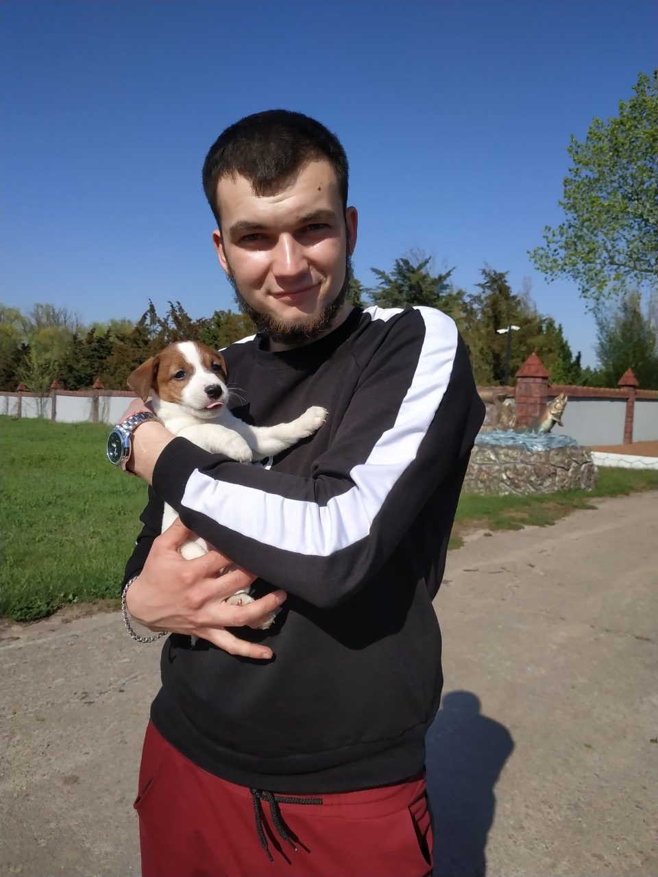Поездка в Николаев за собачкой длиной в 308 км 1