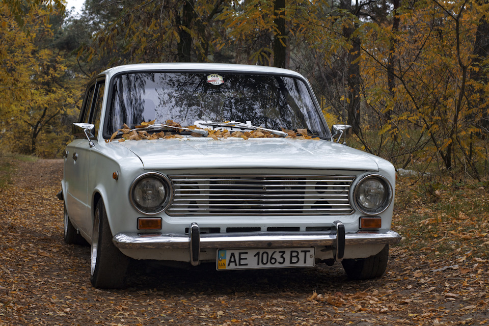 Два Осінніх Фотосети 4