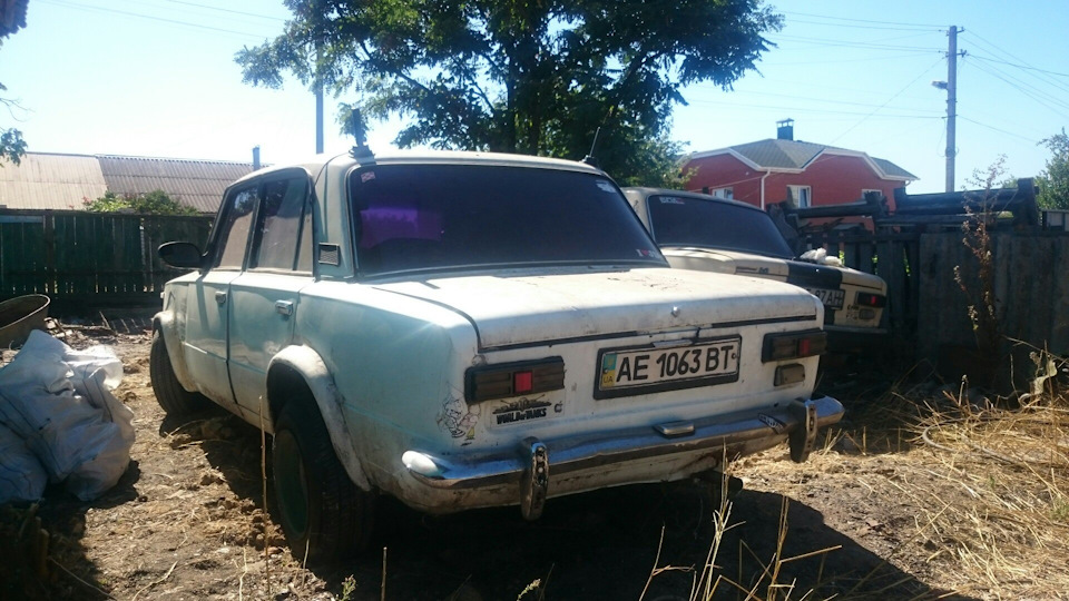 Пелена або просто ріжки 2