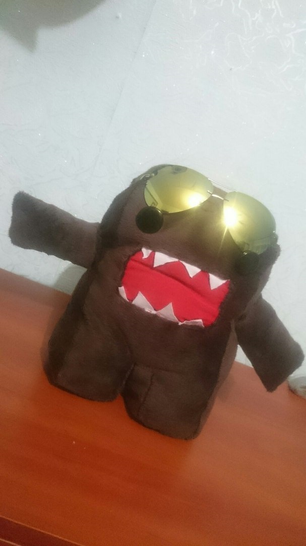 Штурман або талісман? або просто Domokun 2
