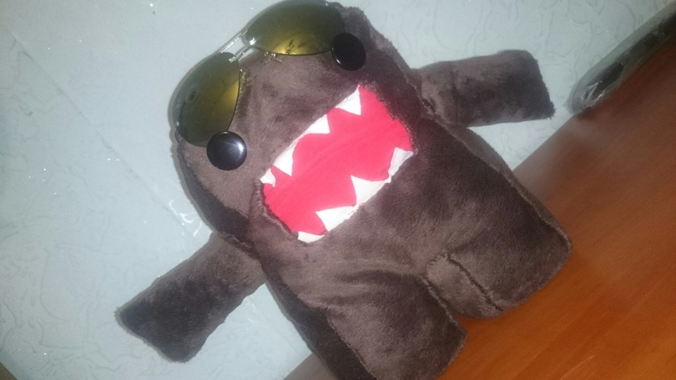 Штурман або талісман? або просто Domokun 1