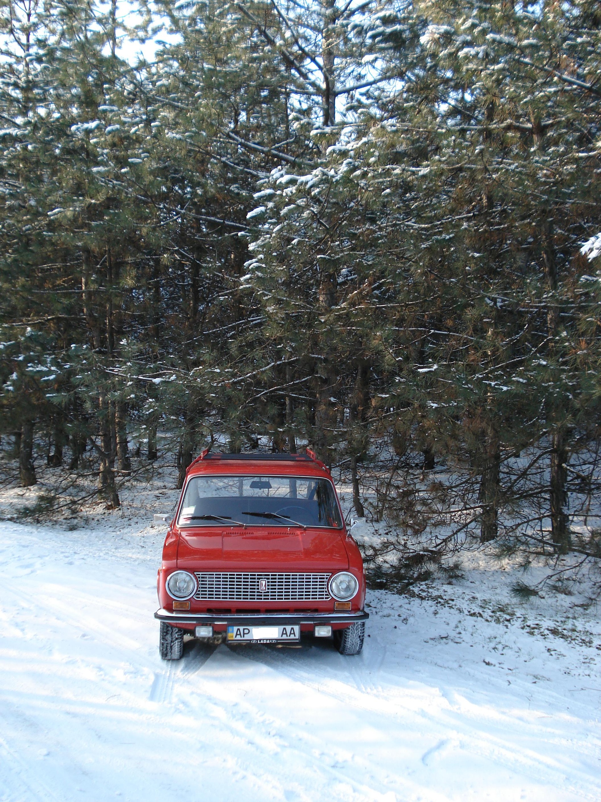 Зима 2010 3