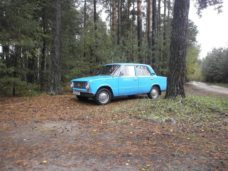У ліс 4