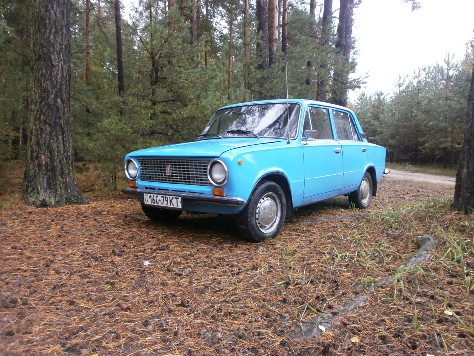 У ліс 5