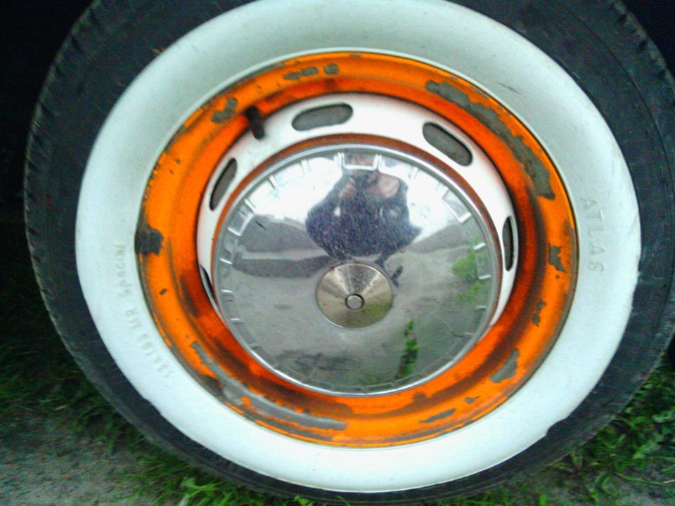 Біда товариші! 1