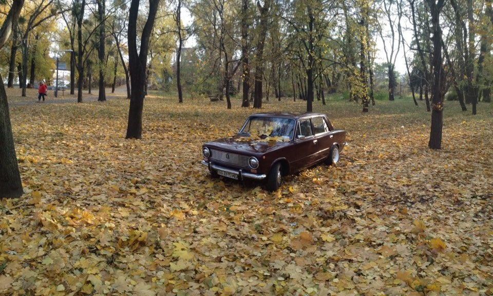 Пару фото з осені 2015 2