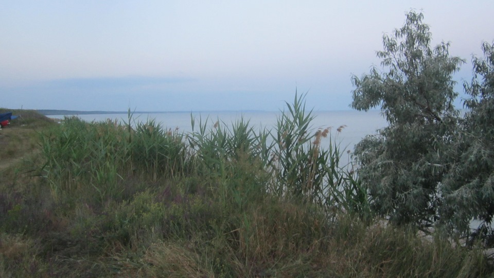 Сезон відкритий ... Відпочинок на морі) 5