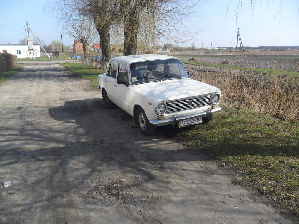 Невеликий фотосет у Тещі 1