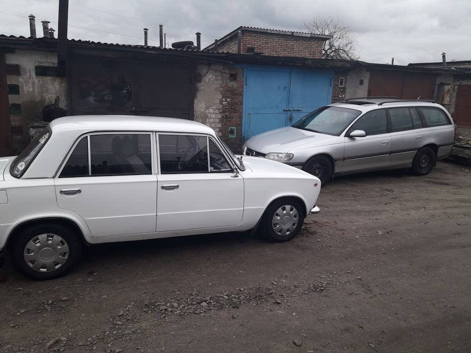 Просто покотушки) 2