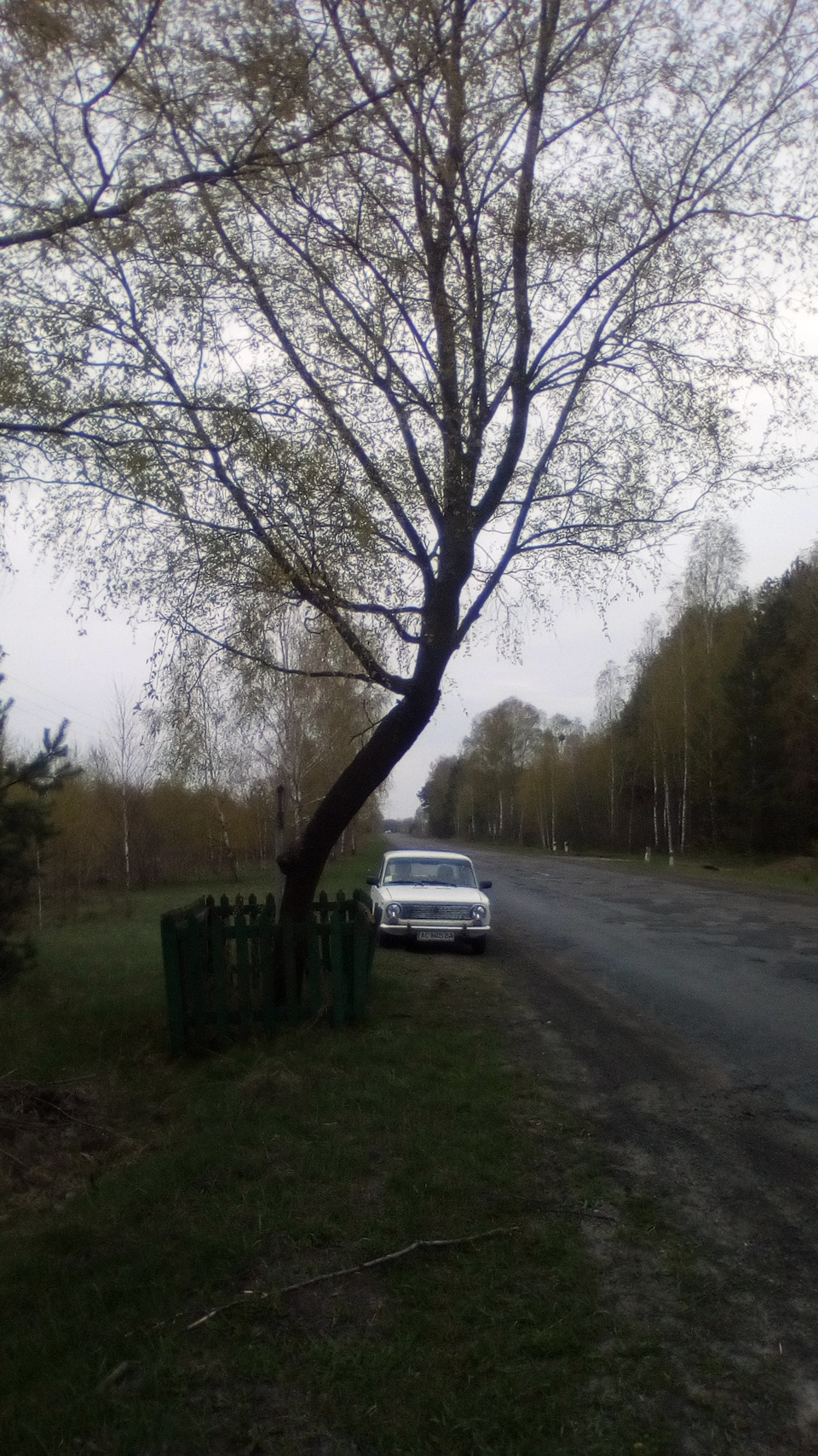 Знову до Тещі та фото біля Чорної Берези 5