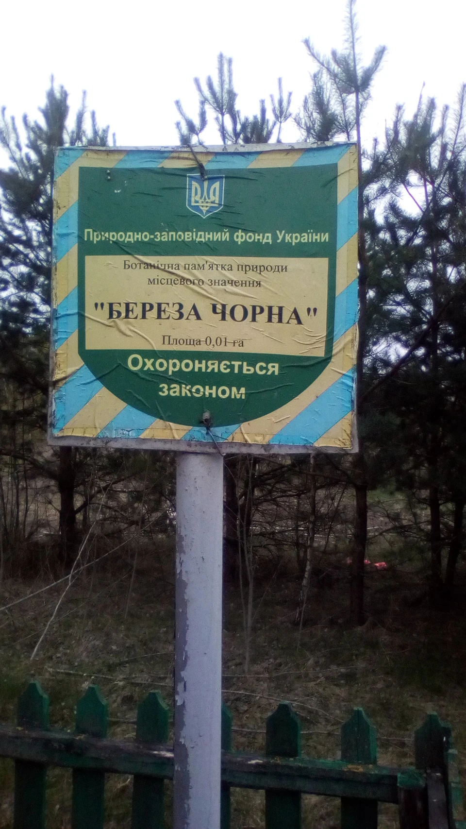 Знову до Тещі та фото біля Чорної Берези