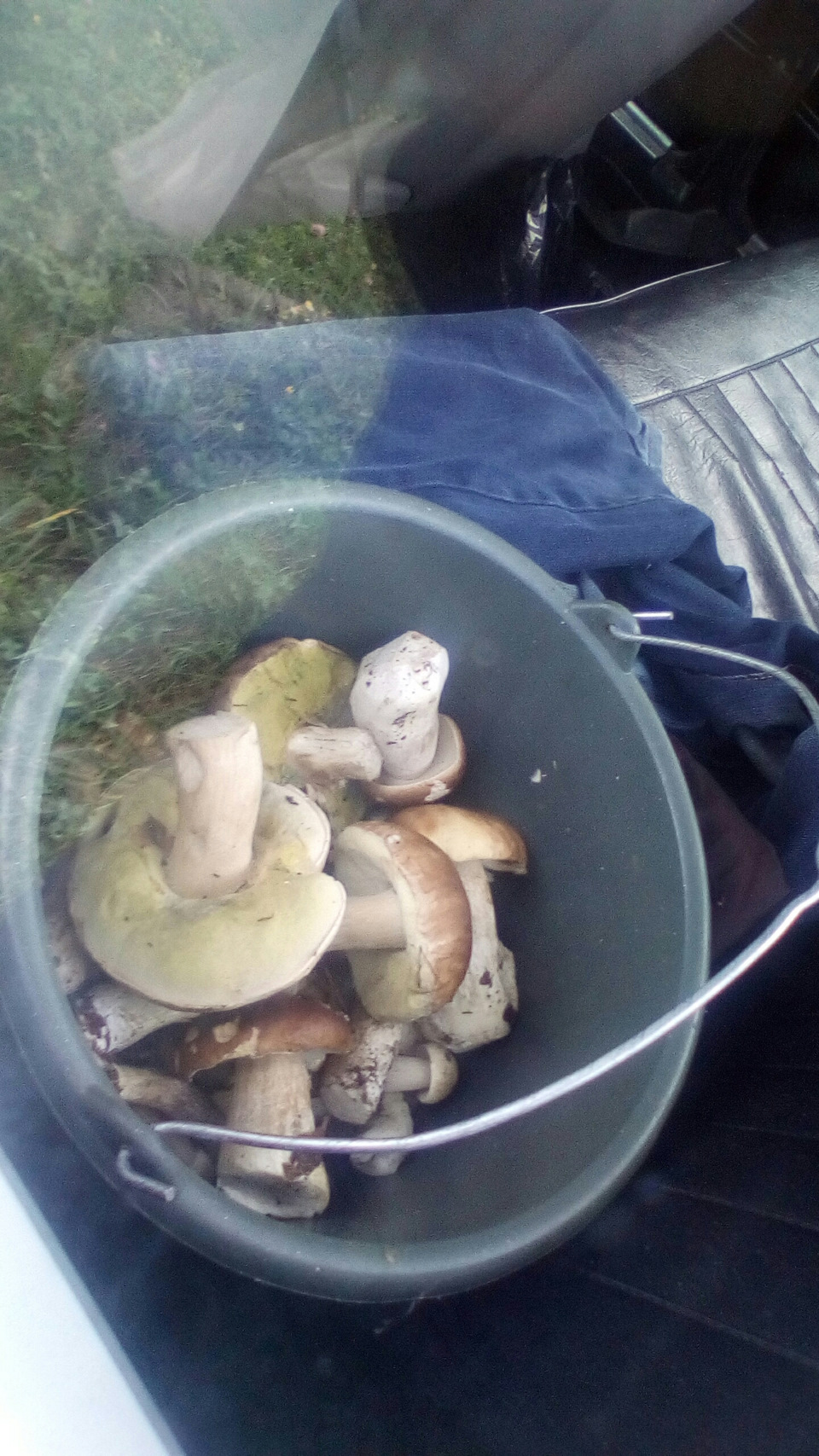 Виїзд на природу 1