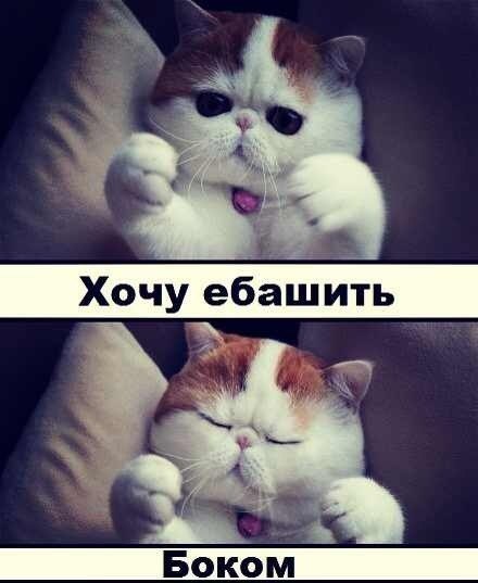 Ось чому так довго не писав Б/Ж 1