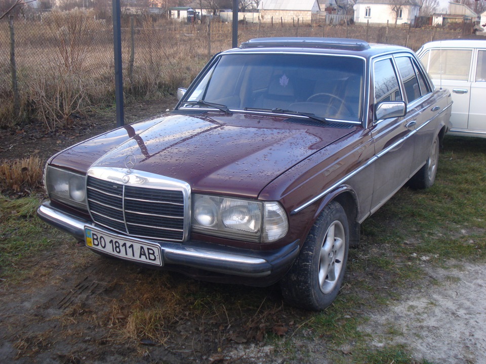 У Beatriss з'явився друг Mercedes) 1