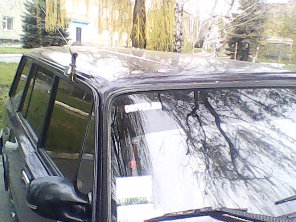 Тонування + тавро 5