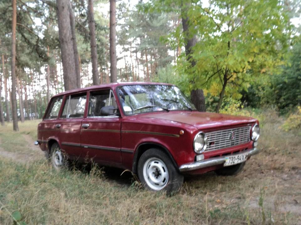Лісова прогулянка =)
