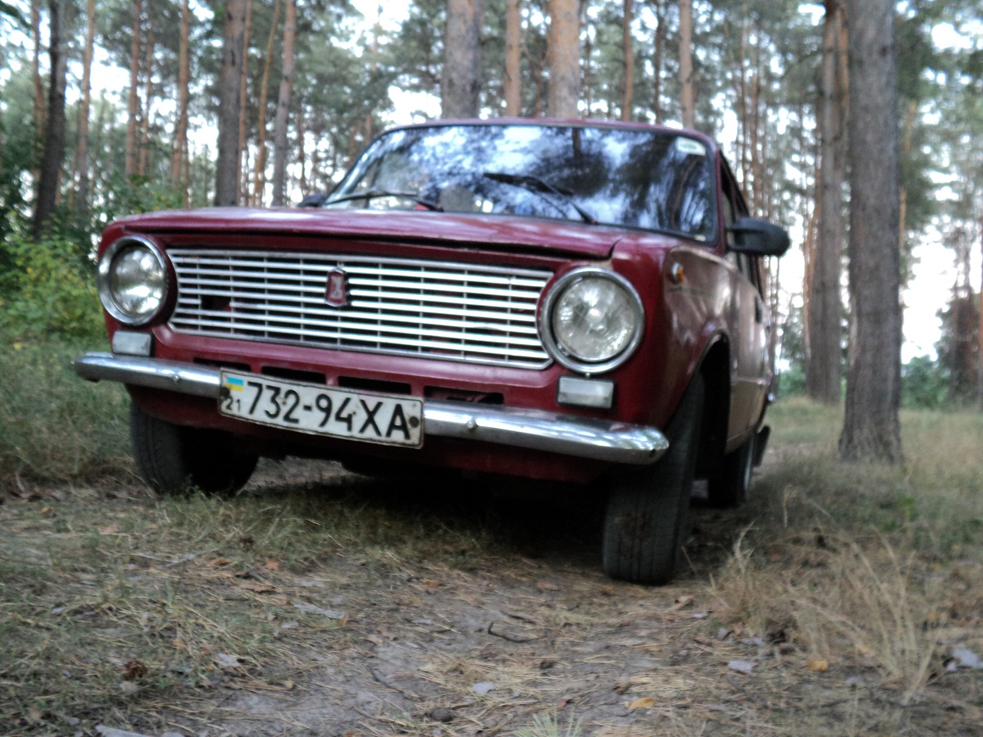 Лісова прогулянка =) 2
