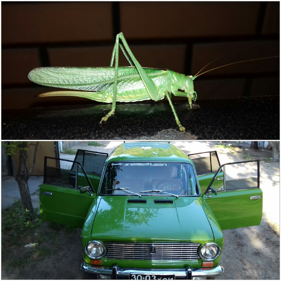 До и после 1