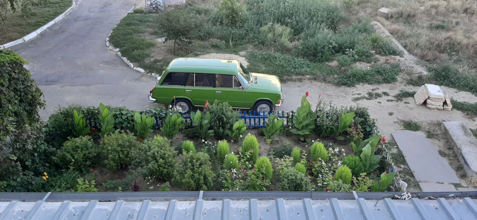 Фото из жизни Кузнечика!