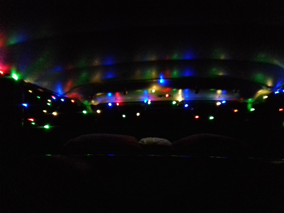 З Новим Роком! 🎄 1
