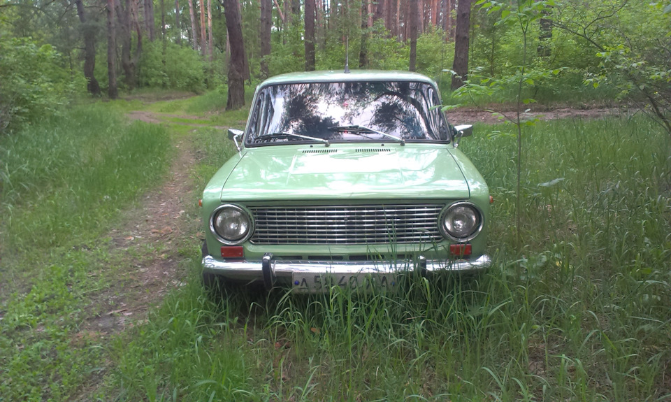 Фотосет у лісі))) 4
