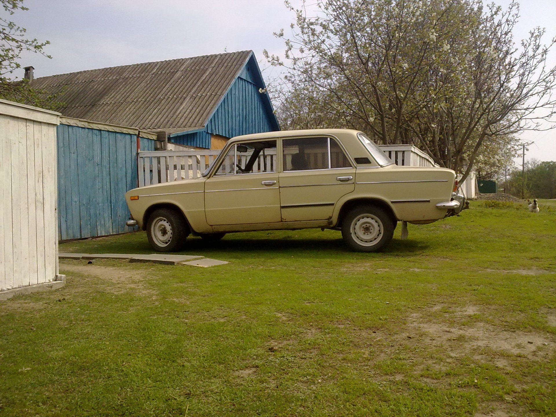 Нові фотки) 1