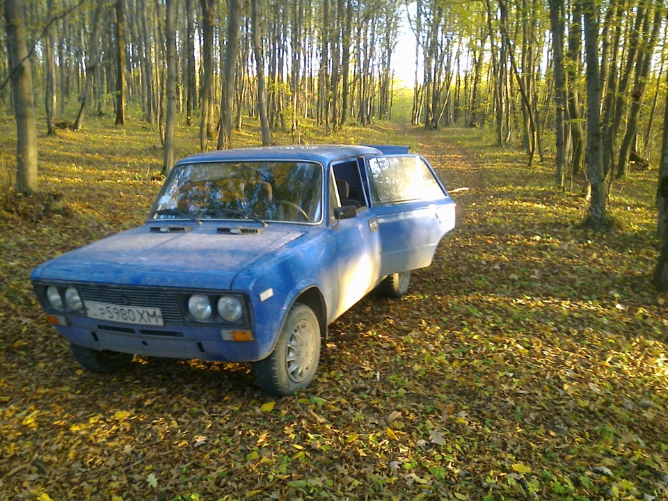 в ліс на шашлики! 3