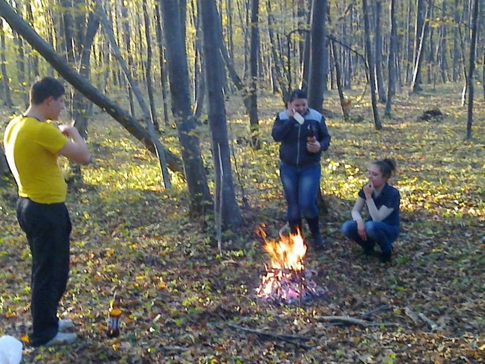 в ліс на шашлики!