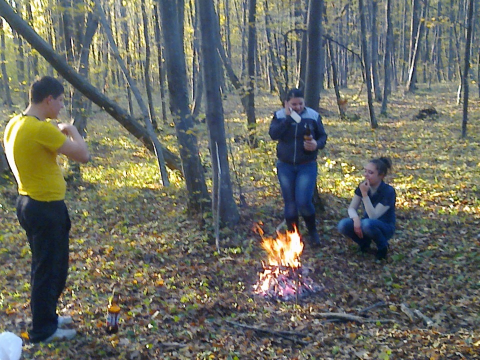 в ліс на шашлики! 1