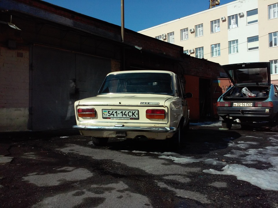 фото трієчки 4