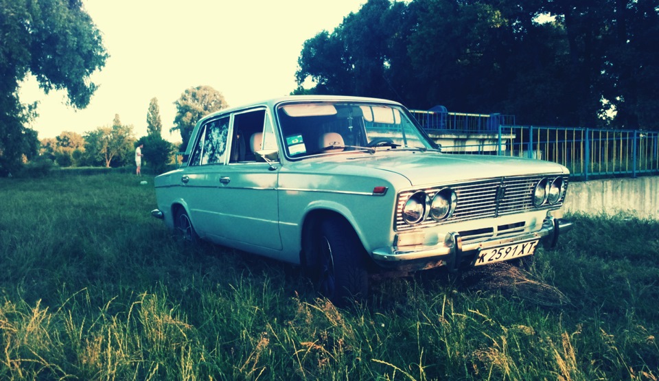 Трохи фото за цей рік 4