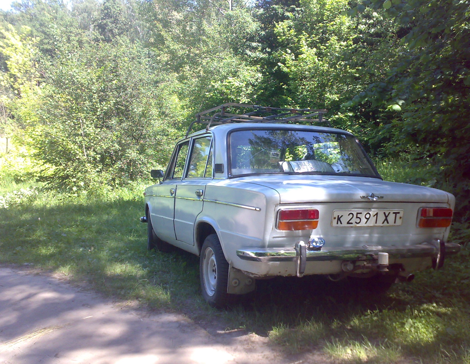 ТРОХА НА ПРИРОДІ 4