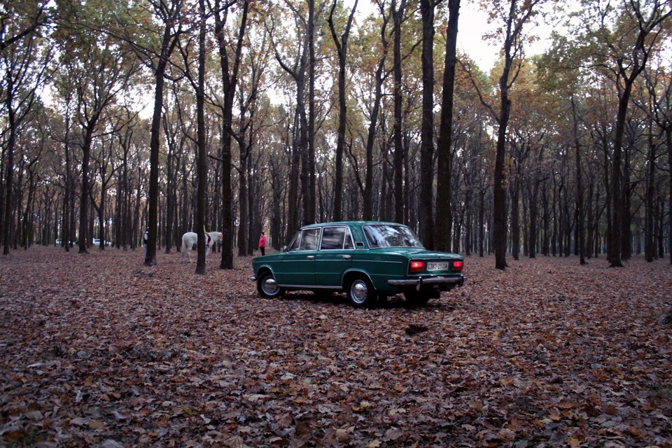 Осень 4