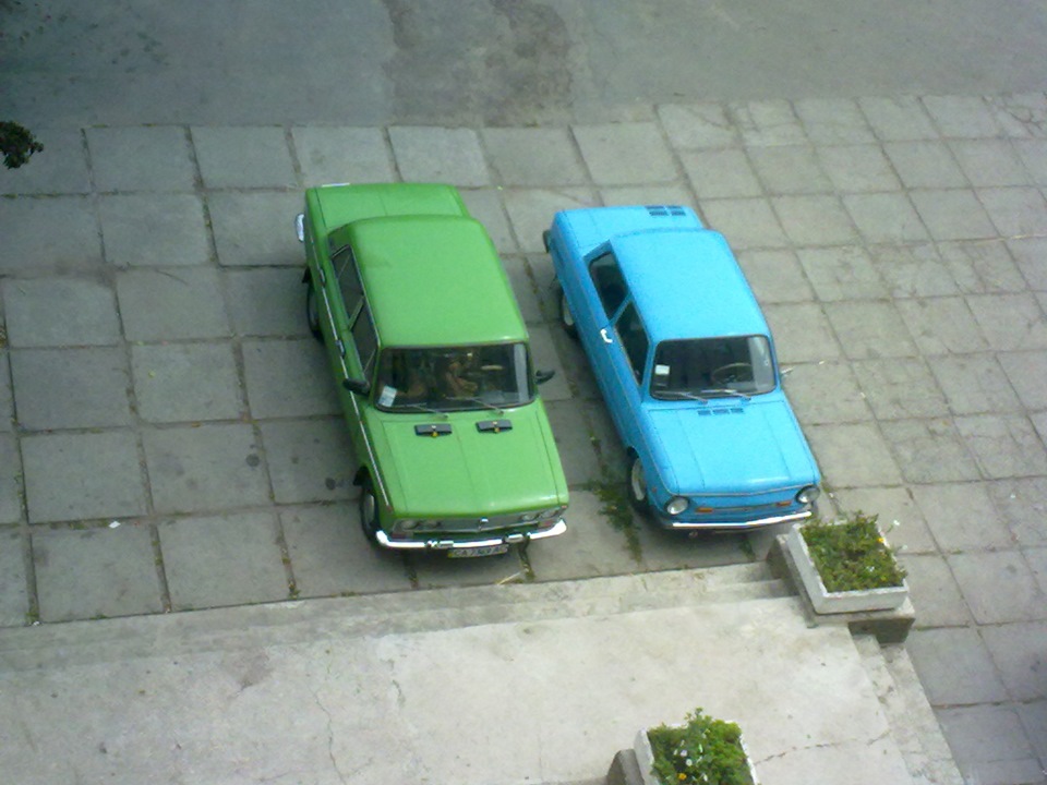 Фото із сусідською 06)) і з Нахлібником)) 5